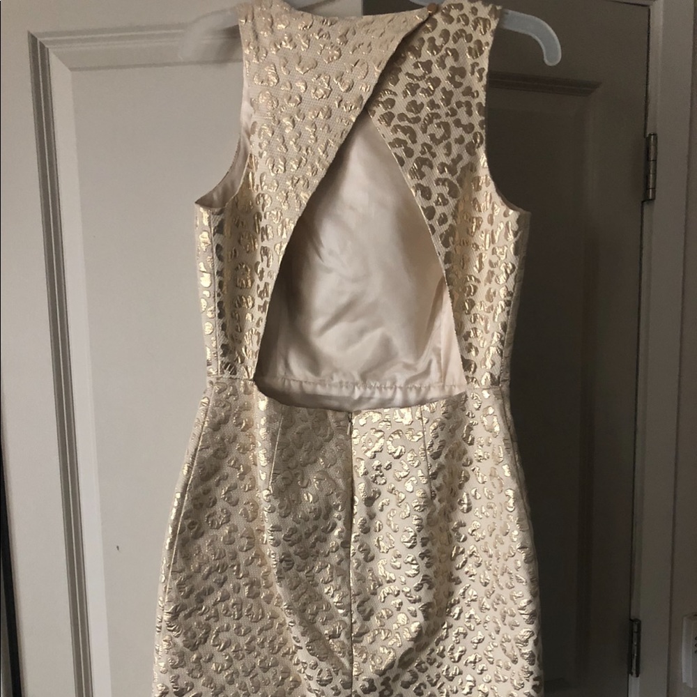 Beige and gold Leopard Hutch dress size 2